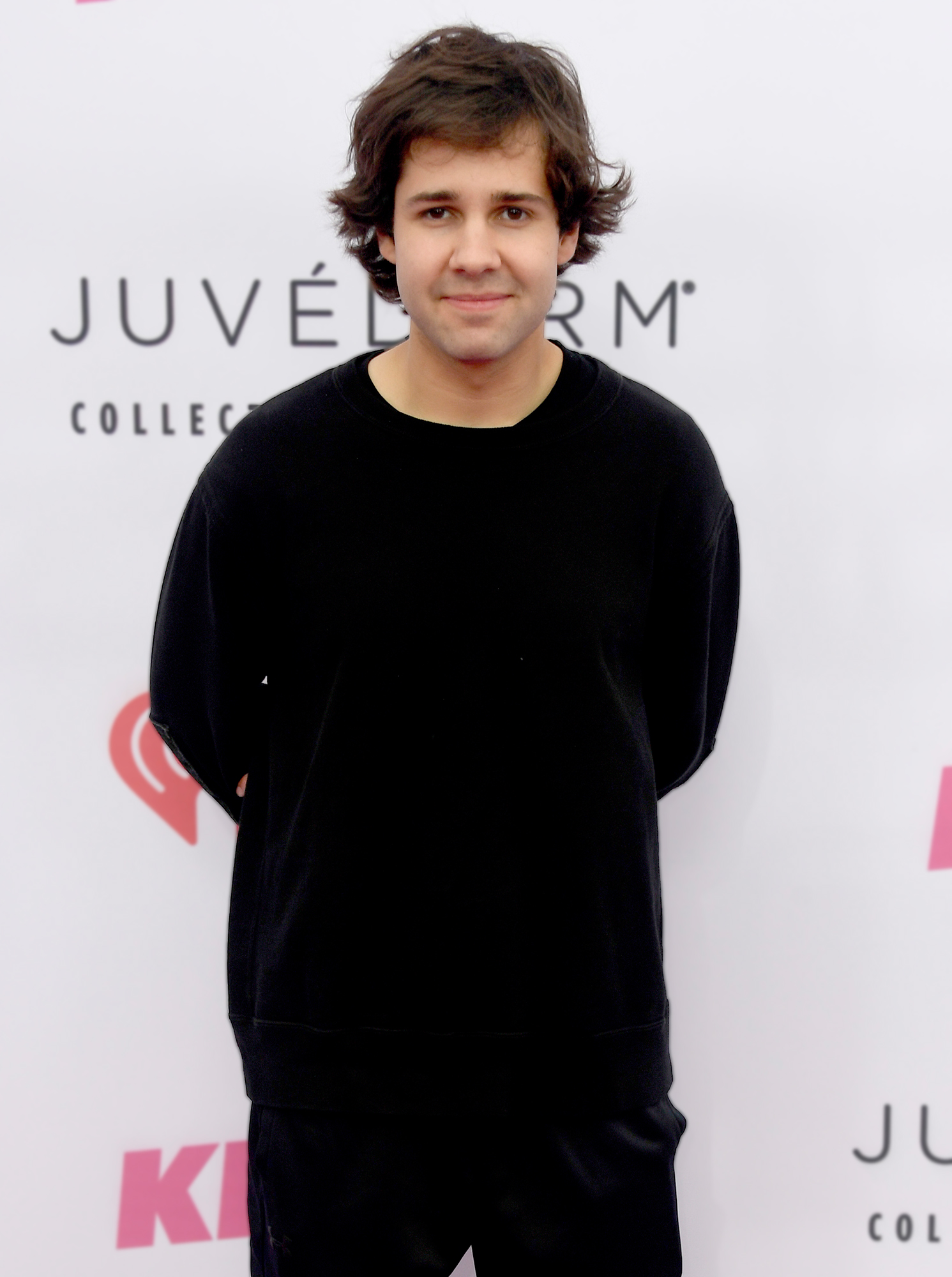 David Dobrik started his career with 'vine' and went on to become...