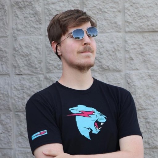 Mr Beast Net Worth in 2024 Wiki, Age, Height, Family, Brother