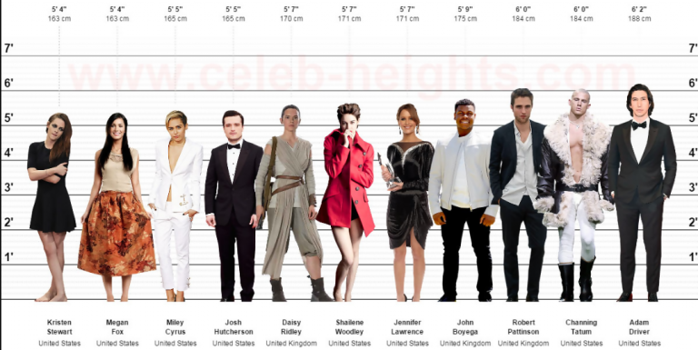 compare heights of people virtual